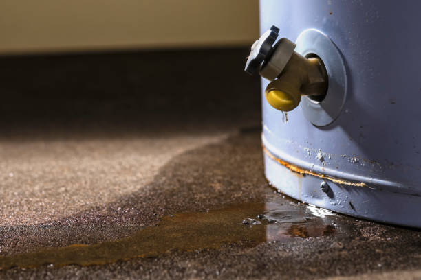 Best Residential water damage restoration  in Brodhead, WI