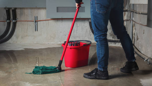 Best Sewage cleanup and water damage restoration  in Brodhead, WI