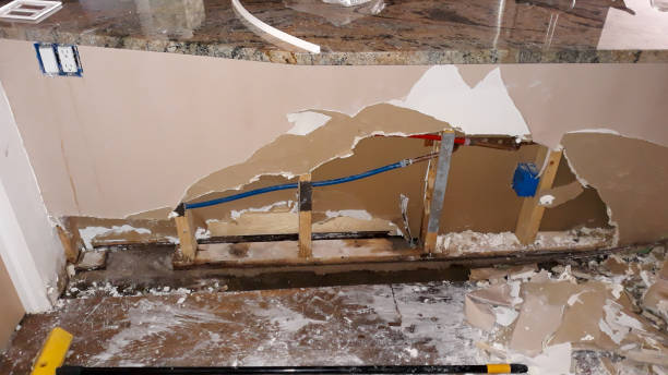 Best Flood restoration services  in Brodhead, WI