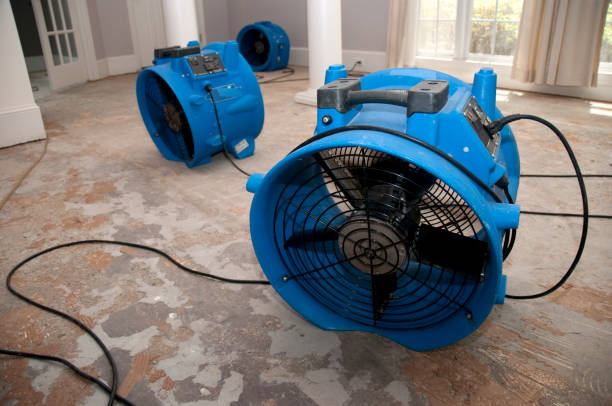 Best Mold removal after water damage  in Brodhead, WI