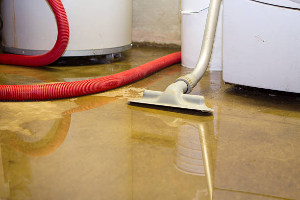 Best 24-hour water damage restoration  in Brodhead, WI