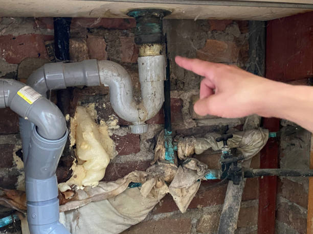 Best Water damage restoration near me  in Brodhead, WI